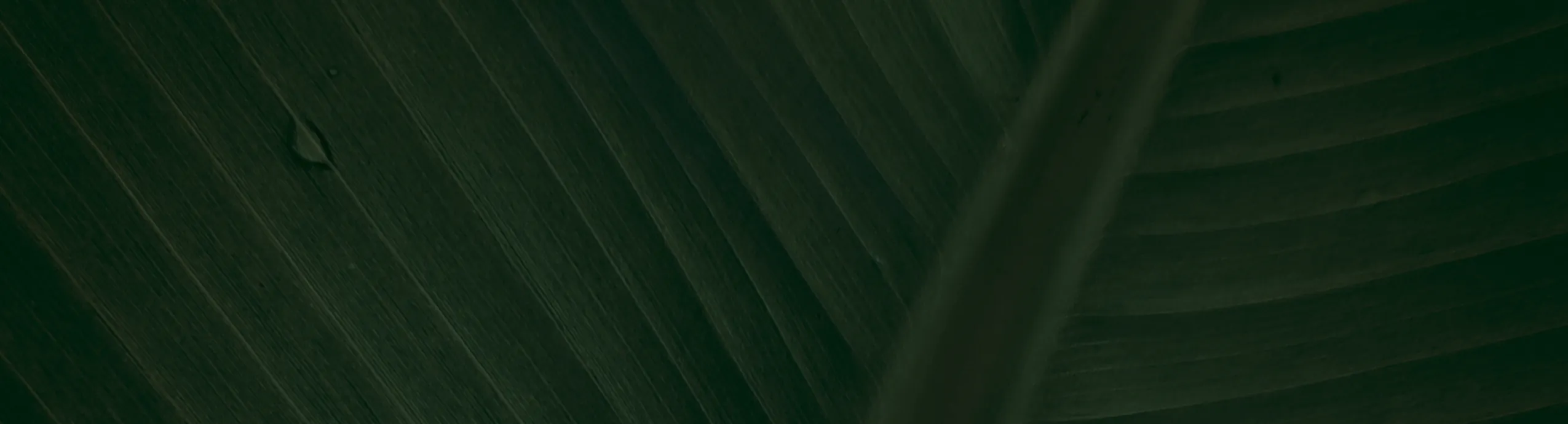 hero-image_optimized Automate and manage your youtube channel by Aaqibmunir53